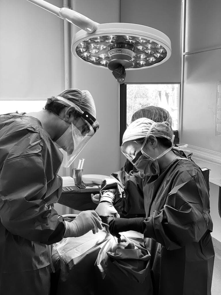 Specialist reviewing imaging and biopsy results.